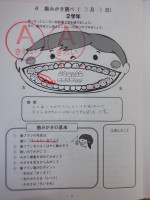 DSCF5339