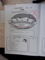 DSCF5340