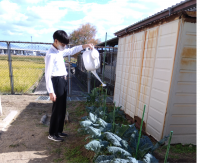 特別支援年8組_総合_田邊　幸子_モノづくり　型紙