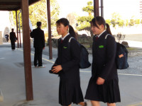 IMGP0800