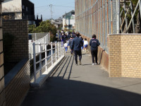 IMGP0847