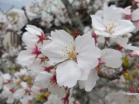 IMGP1565