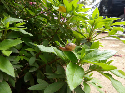 IMGP1094