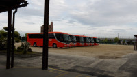 IMGP0994