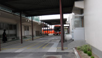 IMGP0995