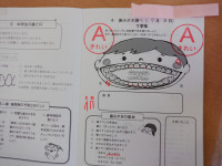 DSCF5311