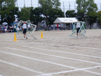 DSCF3174