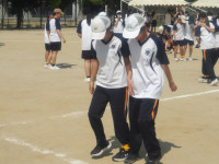 IMGP2518