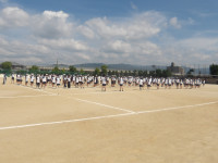 IMGP2535