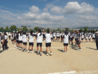 IMGP2536