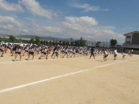 IMGP2538