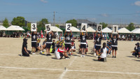 IMGP1295