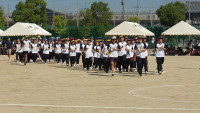 IMGP1273